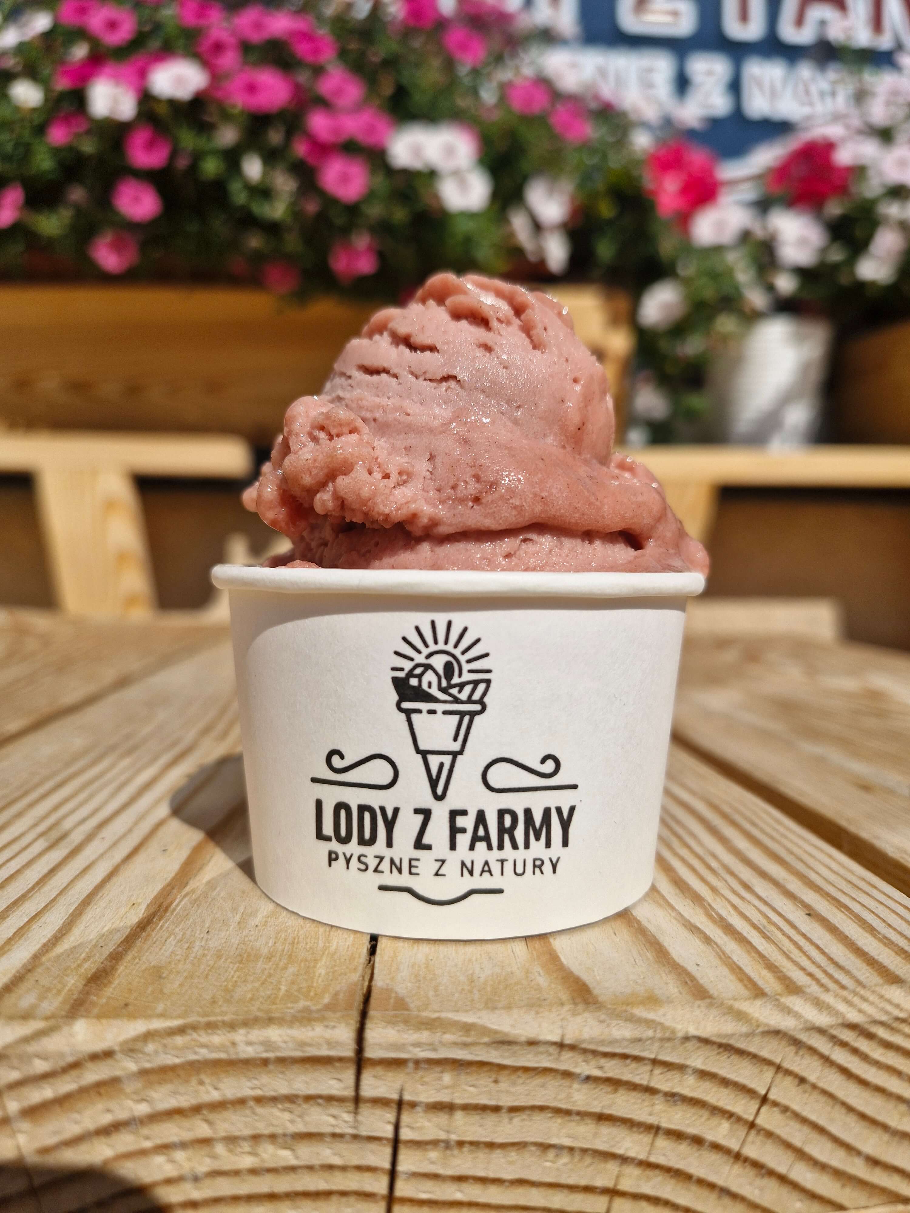 Lody w kubeczku